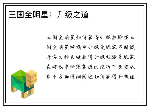 三国全明星：升级之道